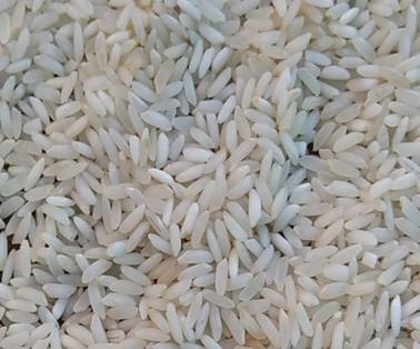 1121 Steam Basmati Rice